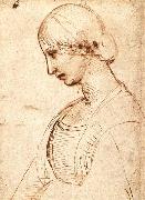Waist-length Figure of a Young Woman